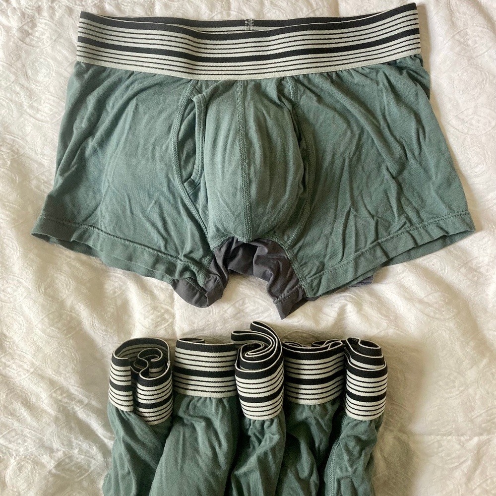 Men's Boxer Briefs - Sage Green with Striped Waistband